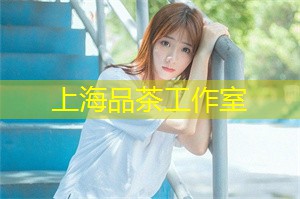 Lessons from Post-Disaster Recovery： The Shanghai Dengue Fever Epidemic